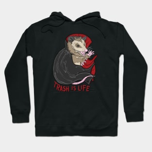 Trash is Life Possum Hoodie